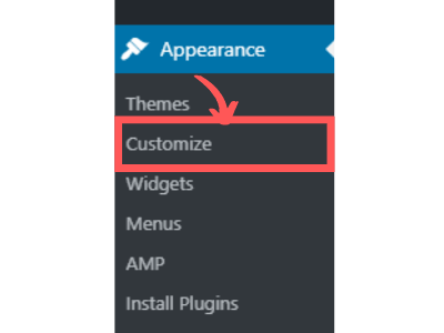 wordpress appearance cutomize