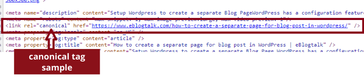 canonical tag
