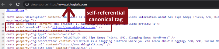 homepage canonical tag