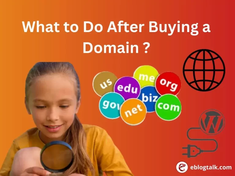 What to Do After Buying a Domain