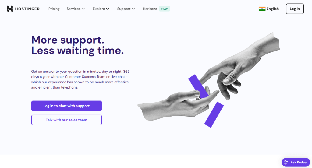Hostinger support